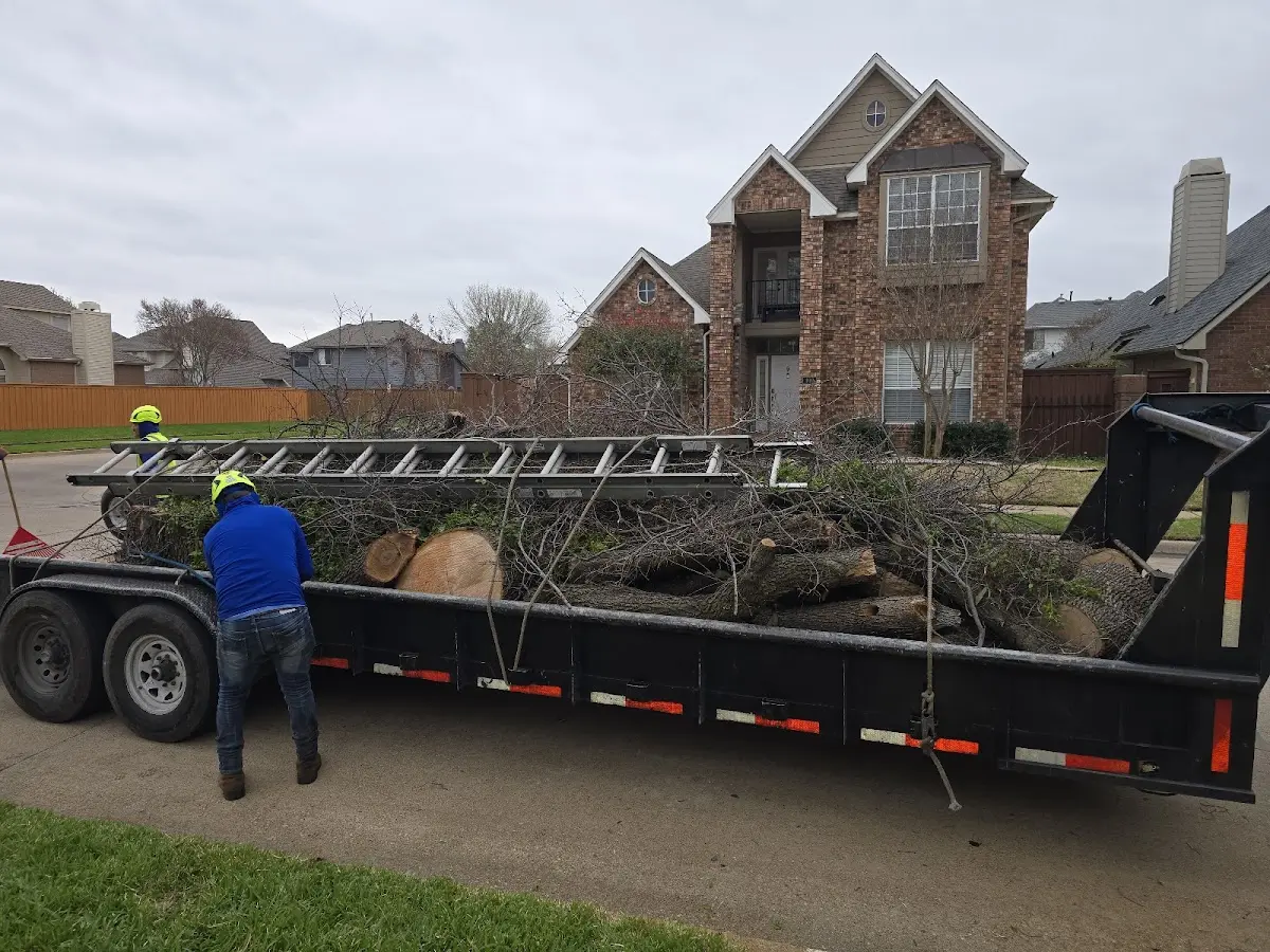 Expert Lot Clearing with proper safety equipment in Oak Hill